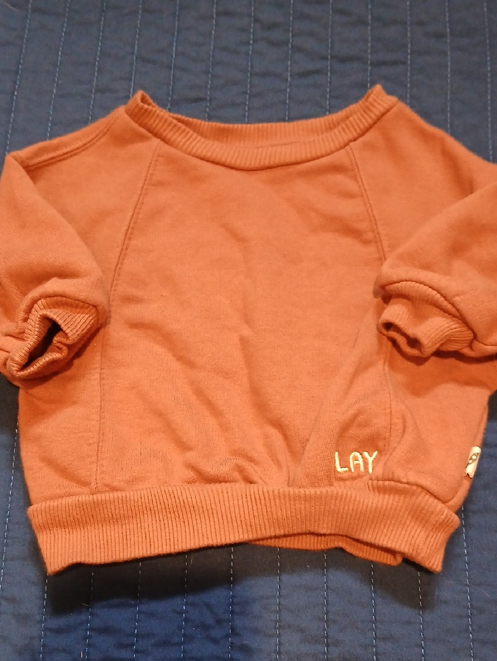 Easy Peqsy Kids Rust Orange Crewneck Sweatshirt